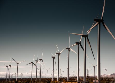 Wind farm with clear dark sky