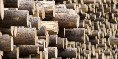 Large pile of sawn tree trunks