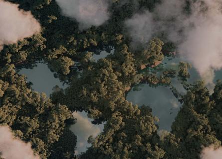Clouds over trees