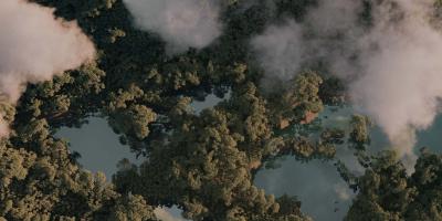 Clouds over trees