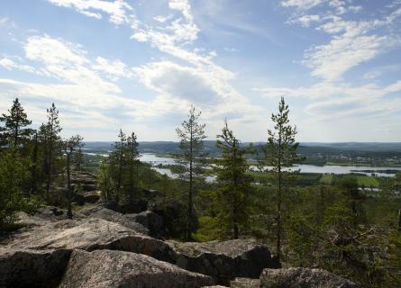 environment water nordic