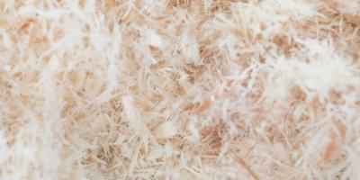 eucalyptus wood pulp in pulp industry