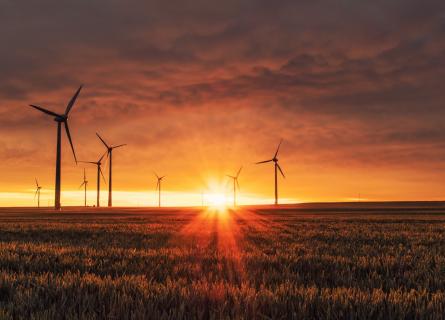 Renewables