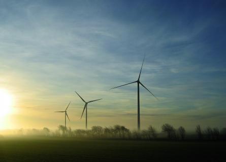 wind power
