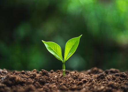 Bioindustry growth