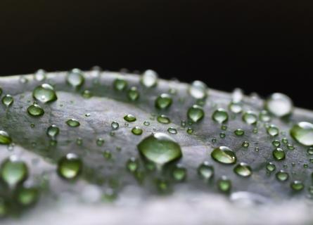 Biomaterials
