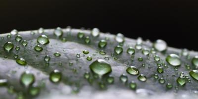 Biomaterials