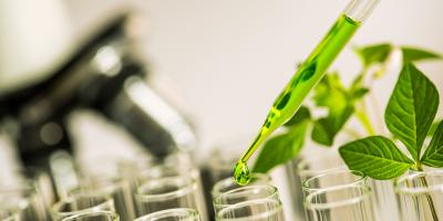 bioplastics