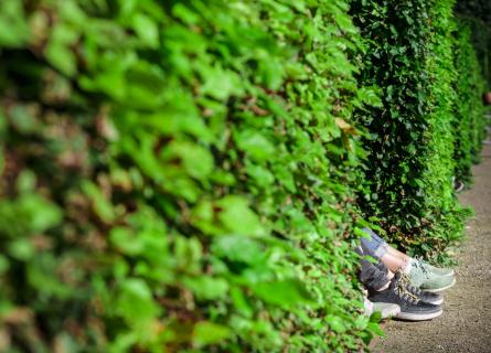 Bushes and feet