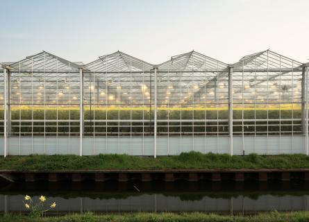 a greenhouse building