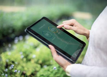 A person using an iPad