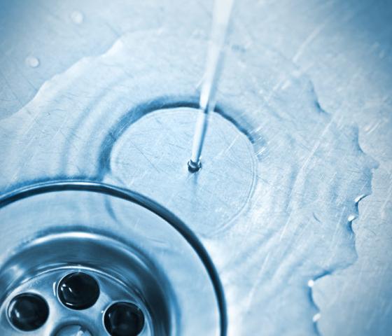 water in kitchen sink