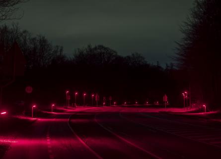 Gladsaxe bat-friendly street lighting_Light Bureau