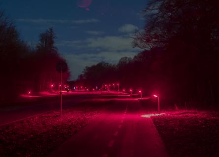Gladsaxe bat-friendly lighting_Light Bureau 3, vejbelysning, private fællesveje, offentlige stier