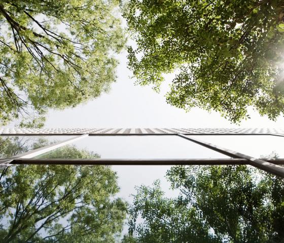 Glass-walled building reflecting trees