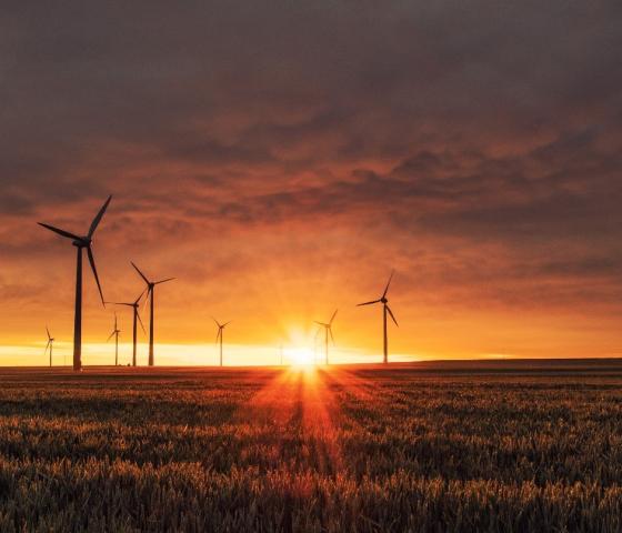 Wind turbines at sunset