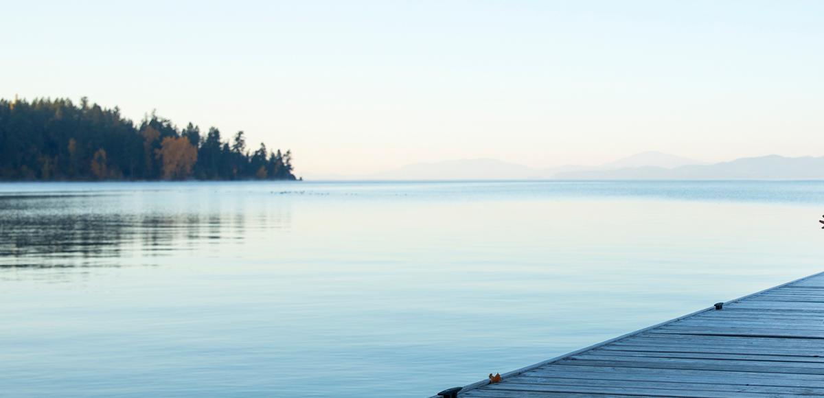 Lake and forest with a dock
