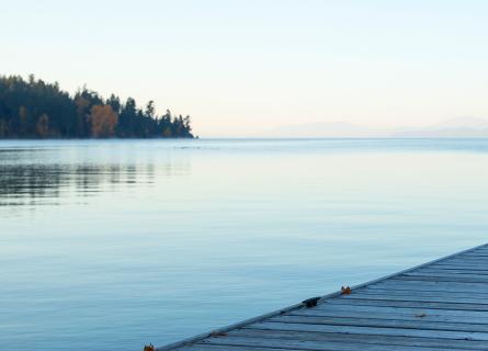 Lake and forest with a dock