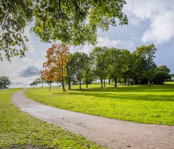 Park, a narrow path and trees