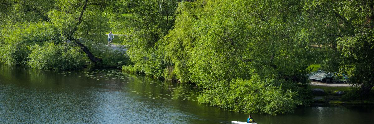 Kayak on the water