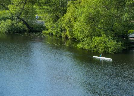Kayak on the water