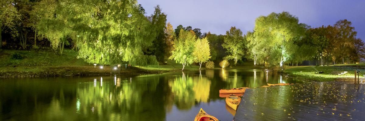 Kayaks in the water, forest in the background