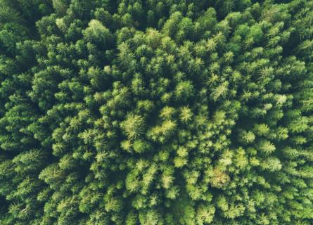 Decarbonising 
