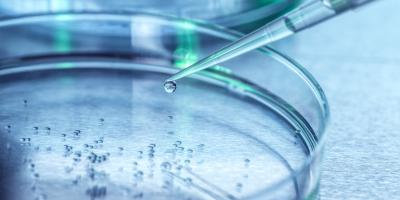 Pipetting sample into a petri dish