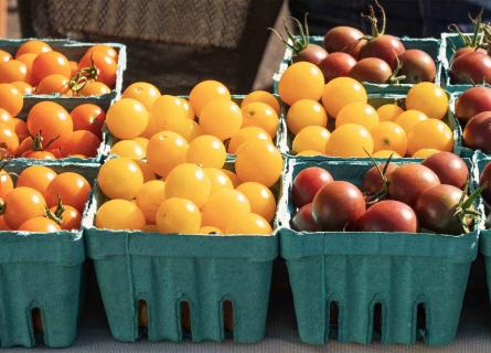 Moulded fibre containers full of cherry tomatoes