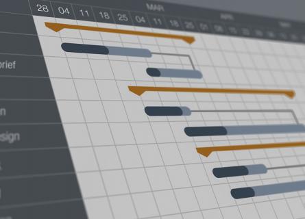 Project Management Planning with schedule