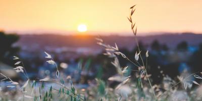 sunrise