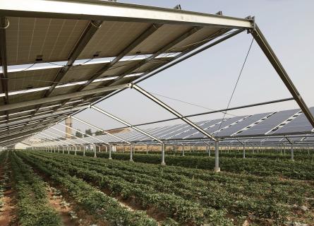 Solar panels and agriculture