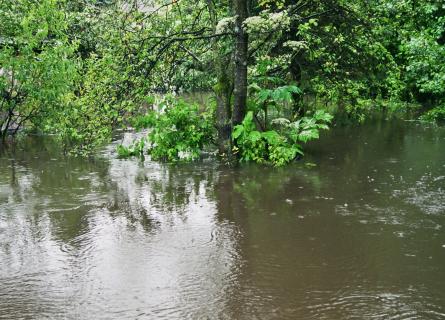 CH_Hochwasser