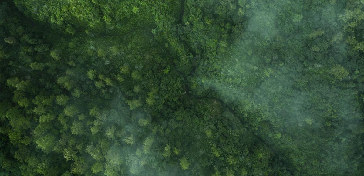 Drone aerial shot of green tropical forest from above