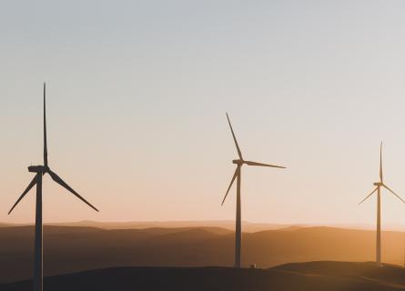 Wind turbines on a field.
