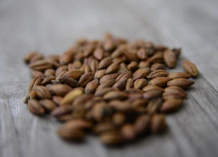 Viking Malt picture