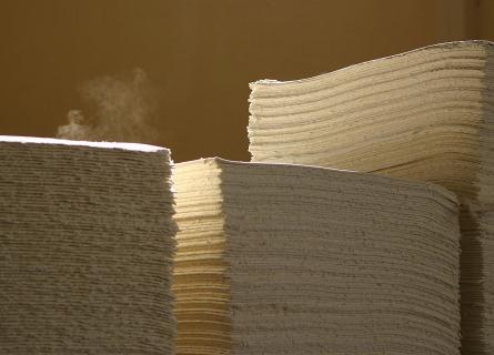 Wood pulp bales