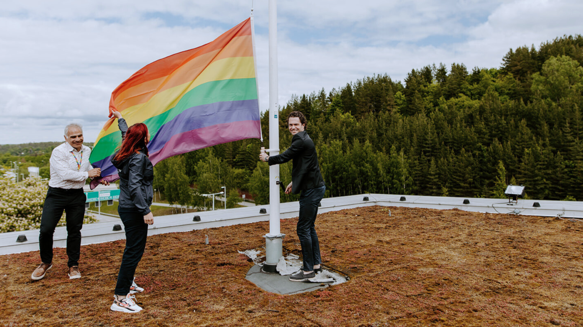 AFRY raises the pride flag